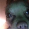 katenguyen05